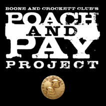 pp_logo_card.png