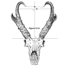tips_measuring-card.jpg