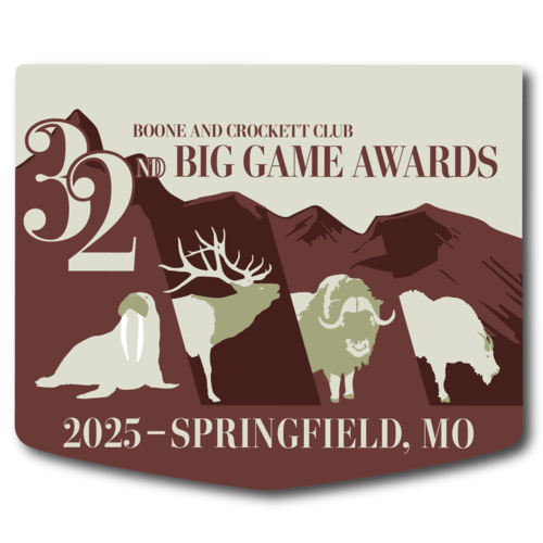 32bga_pin_thumbnail.png