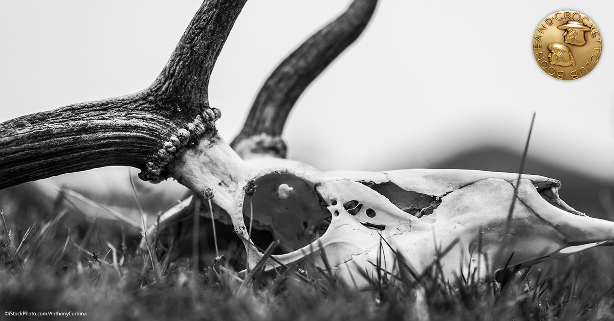 Spring is for Deadheads Boone and Crockett Club