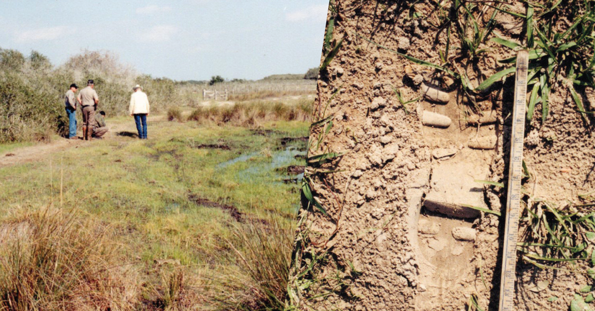 footprints_twa_1.png