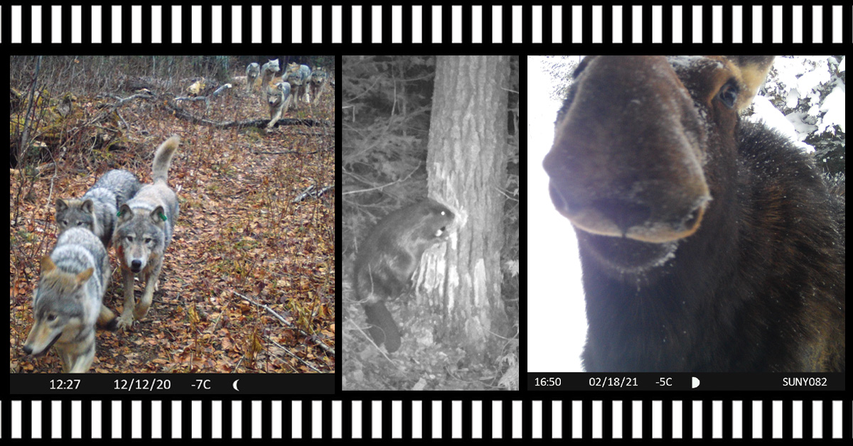 hailey_b_filmstrip_1.jpg