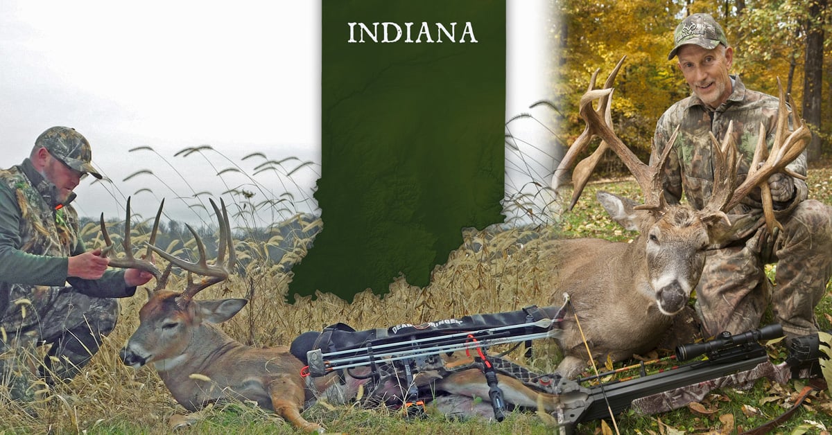 Indiana Big Bucks 2024 - Drucy Giralda