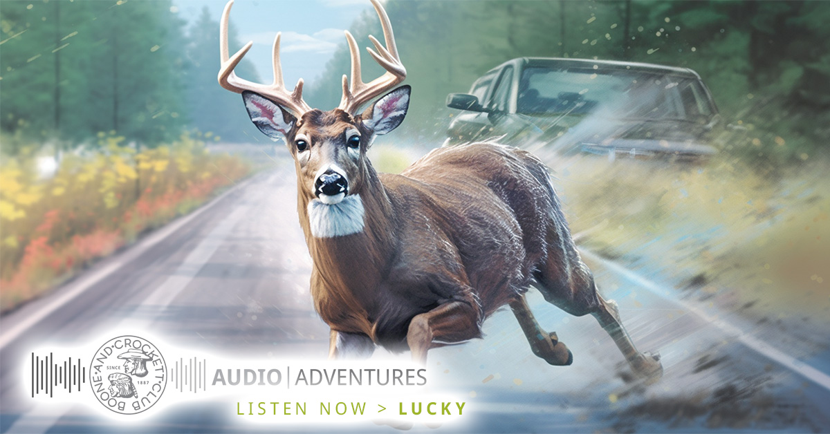 Lucky – A B&C Audio Adventure | Boone and Crockett Club