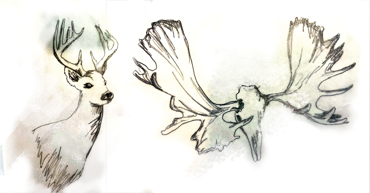 trophies_web_1200x6282.png