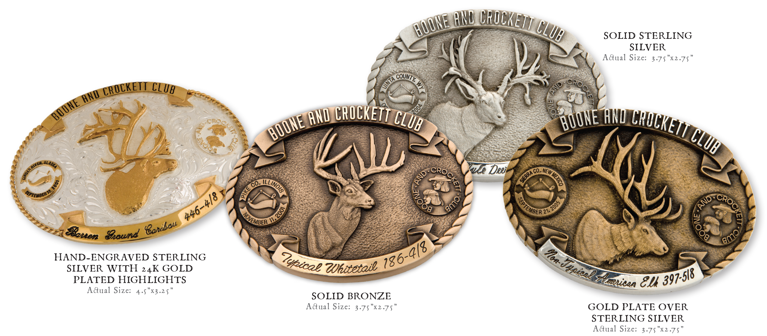 mule deer belt buckle